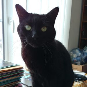 Meet your Posher, Debra